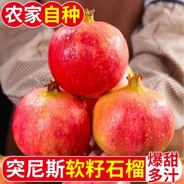 四川会理正宗软籽石榴新鲜当季水果香甜多汁大果精品果
