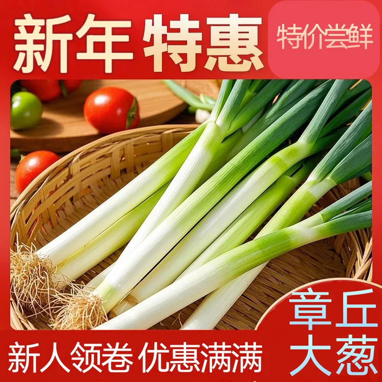 章丘大葱中棵礼盒装