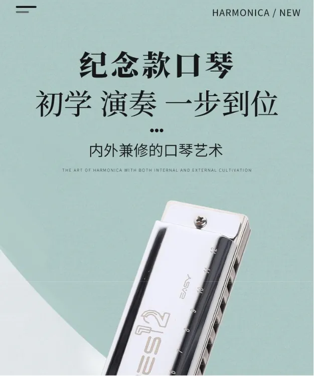 纪念版铜电镀外壳钛格12孔布鲁斯口琴专业演奏适用