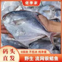 佬季家 流网捕捞白鲳 当季野生银鲳鱼