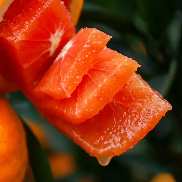 血橙中华红红肉橙子红心脐橙卡拉红橙现摘甜橙新鲜水果血橙