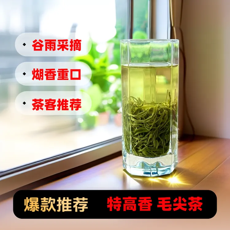 高山炒茶特级贵州高香绿茶毛尖茶浓香型湄潭毛峰高山绿茶新款茶叶