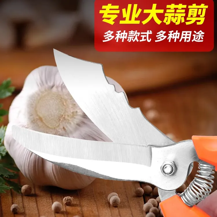 大蒜专用剪刀剪蒜须杆修蒜根神器剪蒜头切蒜根葱段洋葱剪子园艺剪