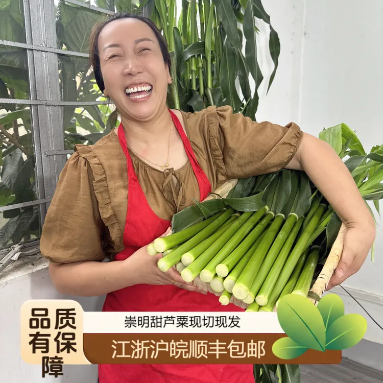 崇明甜芦粟 甜杆 现切现发 江浙沪皖顺丰包邮