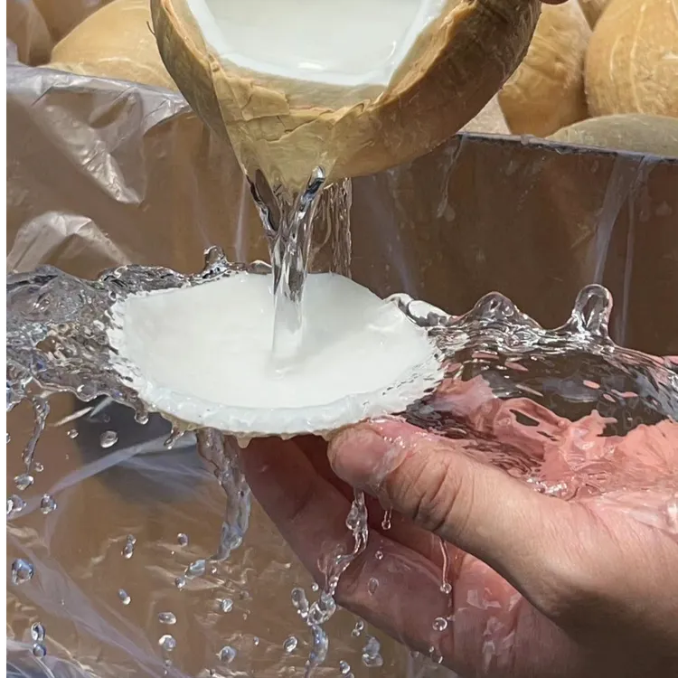 泰国进口椰皇香甜清澈【坏果包赔】只做新票 发顺丰