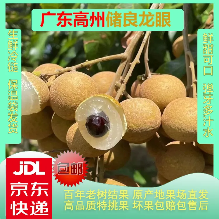 【二十年树】高州储良龙眼现摘现发包邮发货