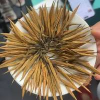 凤庆春茶古树挑采滇红奶韵金针 