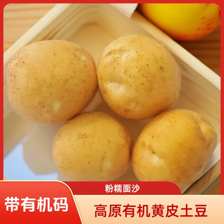 宁夏西吉高原白皮有机土豆小果7斤（李琬有机菜）有机蔬菜