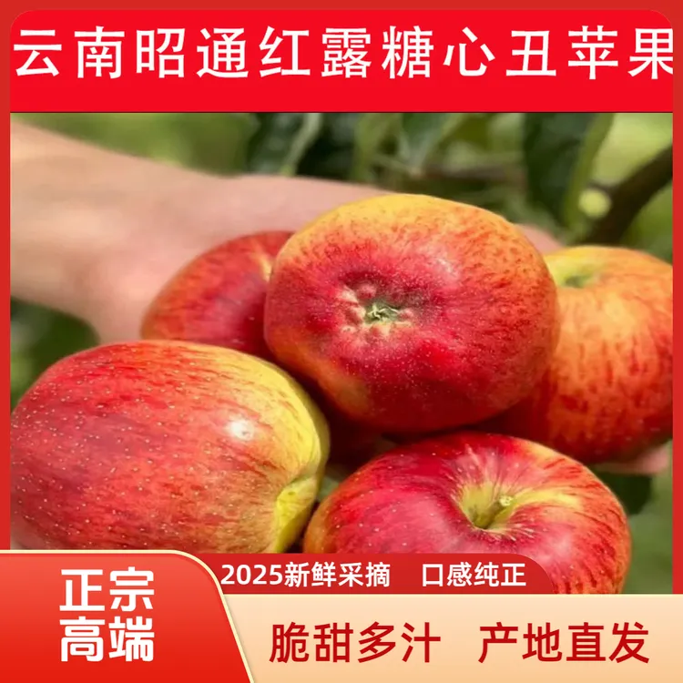 云南昭通红露糖心丑苹果2025新鲜采摘脆甜多汁产地直发5/10包邮