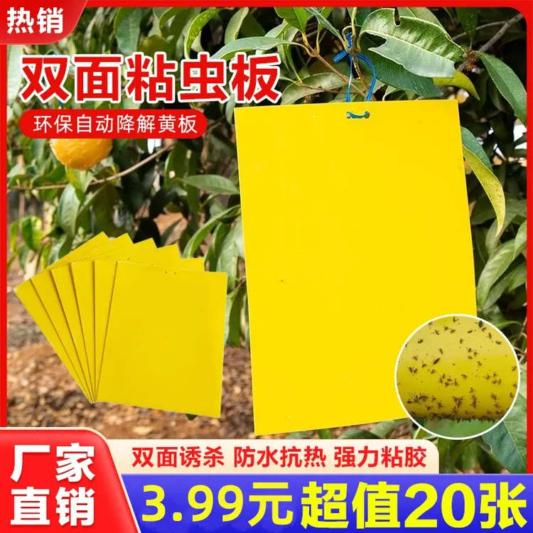 【20张！】黄色双面粘虫板贴纸强力小飞虫沾果蝇诱捕神器捉蚊子苍蝇