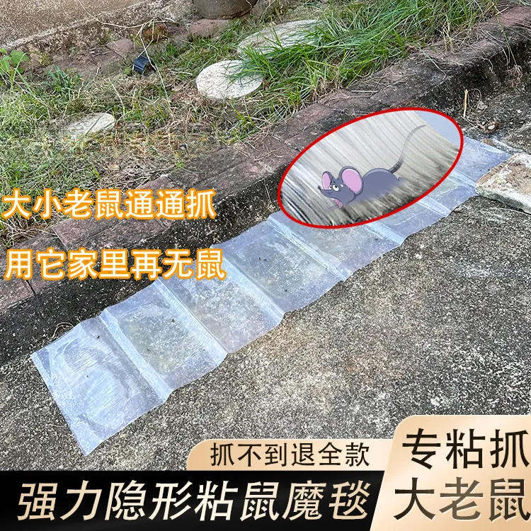 隐形强力粘鼠板毯抓老鼠贴黏板胶灭鼠家用克星一窝端捕鼠神器加厚