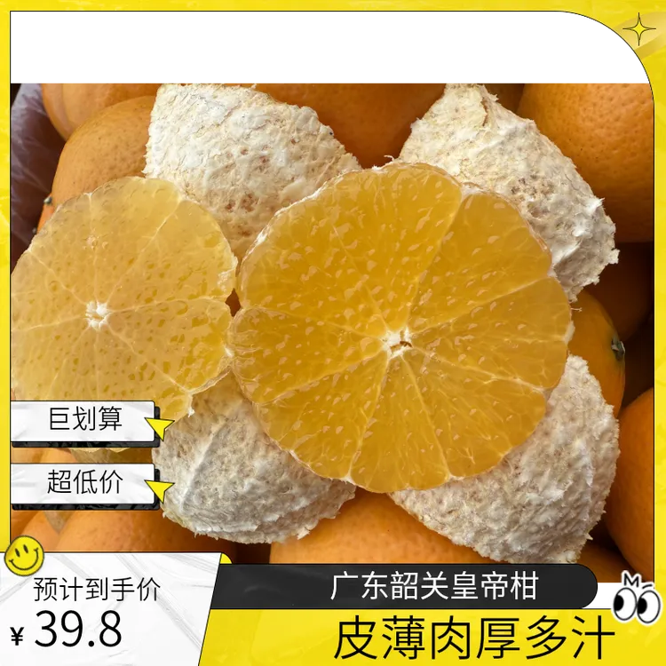 广东韶关皇帝柑果园直发新鲜现摘皮薄肉厚多汁当季水果