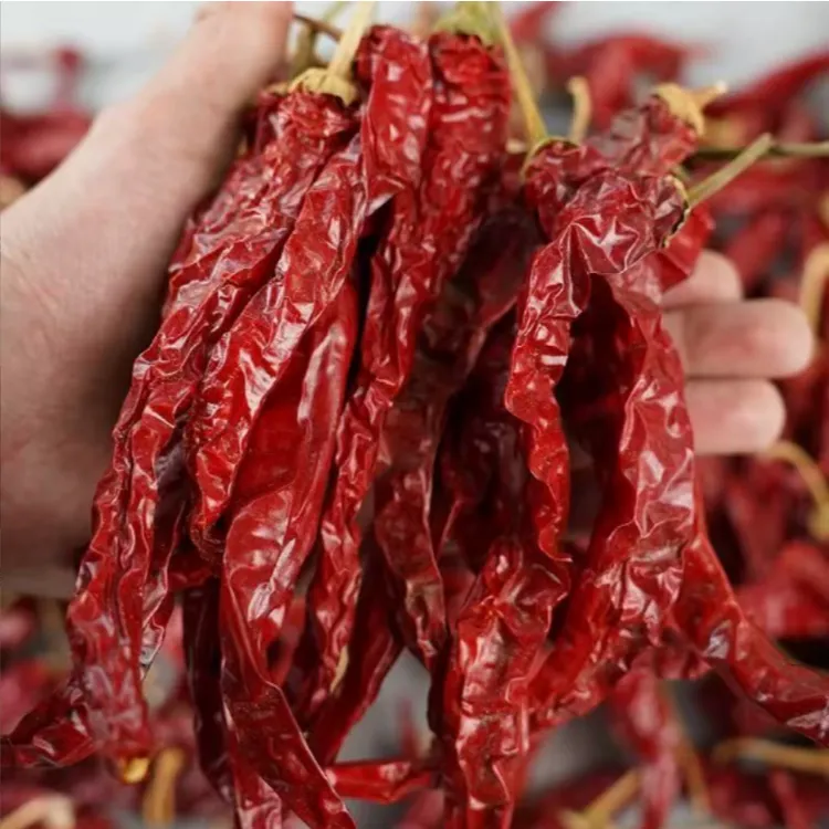 东北特产干红辣椒小园辣椒500克包邮