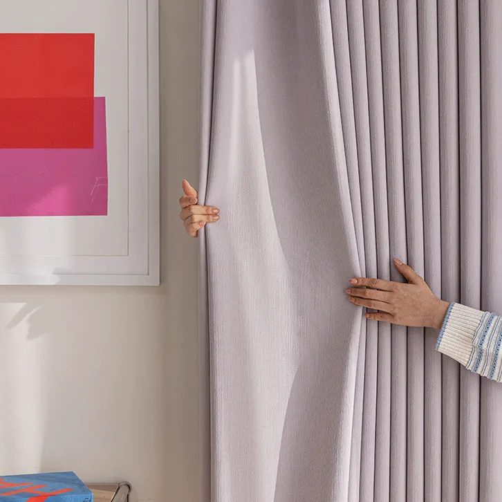 2025新款简约轻奢阳台窗帘双面羊绒绒布高遮光高颜值百搭款窗帘