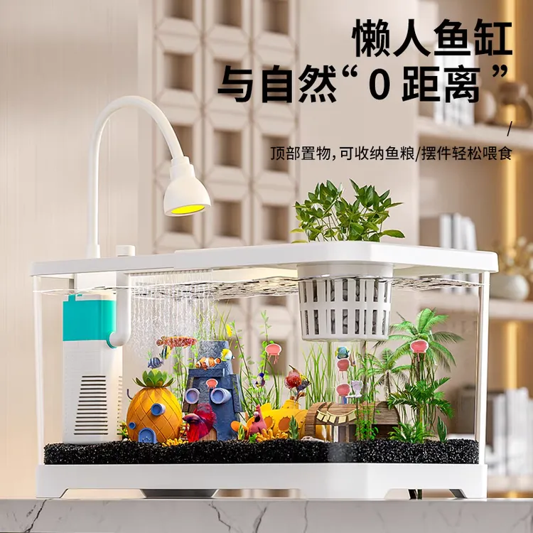 高清鱼缸2025新款过滤制氧一体机小型客厅桌面生态造景金鱼饲养缸