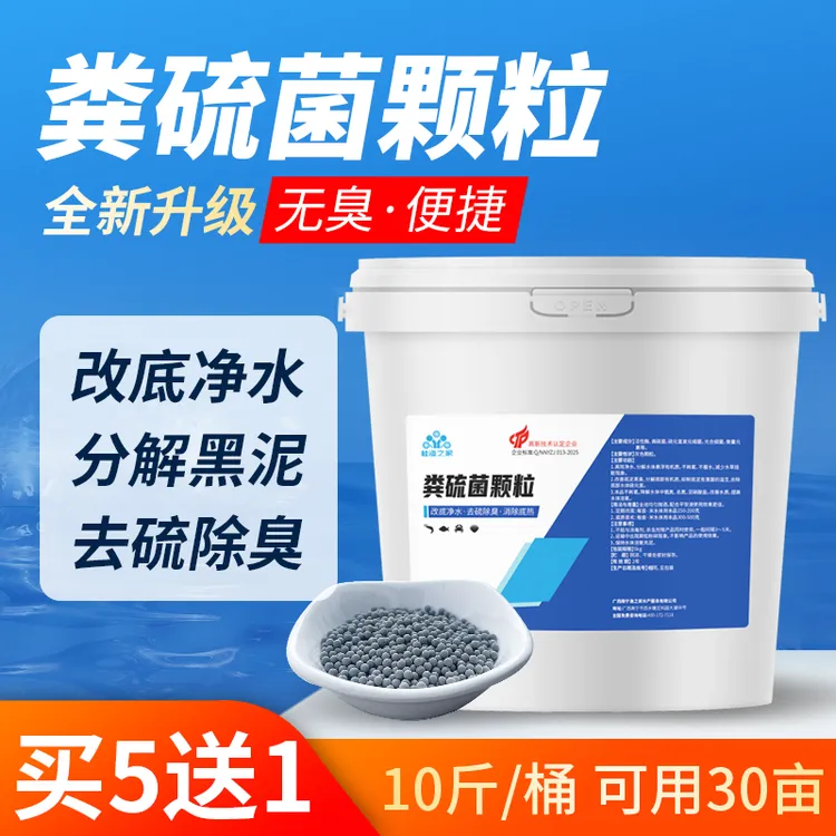 粪硫菌颗粒专用水产养殖硫细菌底改水体恶化除黑除臭底改王