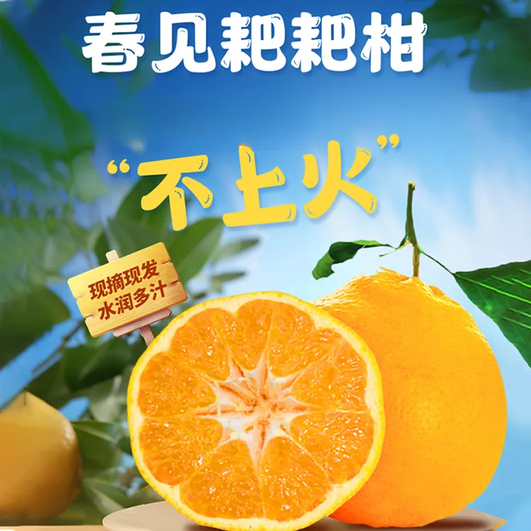 春见耙耙柑四川柑橘皮薄易剥果肉细腻新鲜采摘整箱九斤