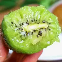 【上市福利】陕西徐香绿心猕猴桃新鲜采摘当季皮薄肉厚维C丰富30枚