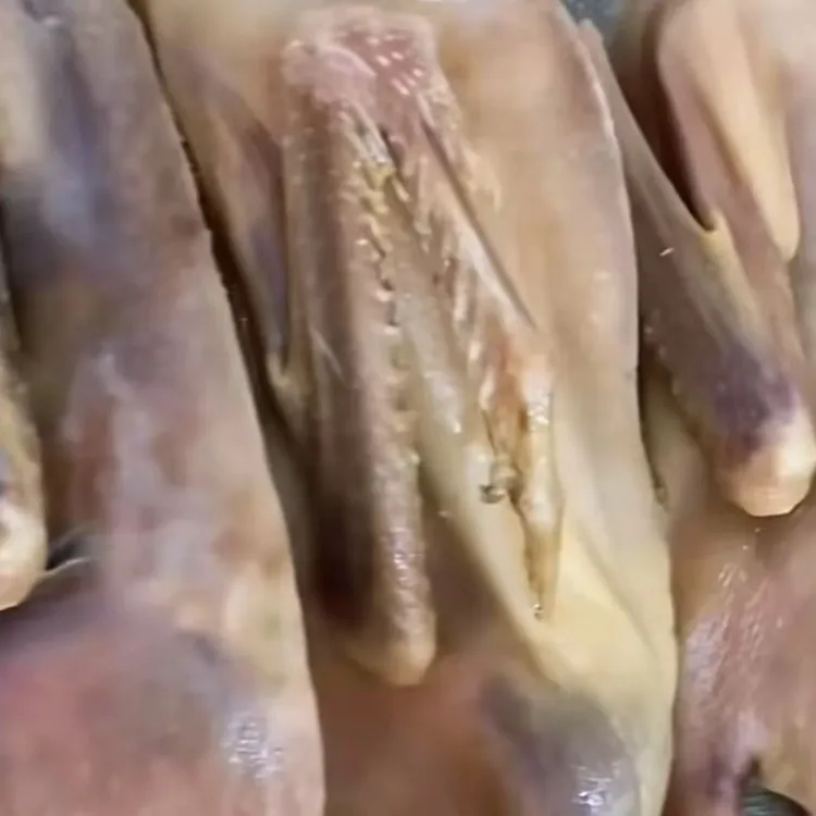 散养散放吃五谷杂粮的皖西大白鹅半只