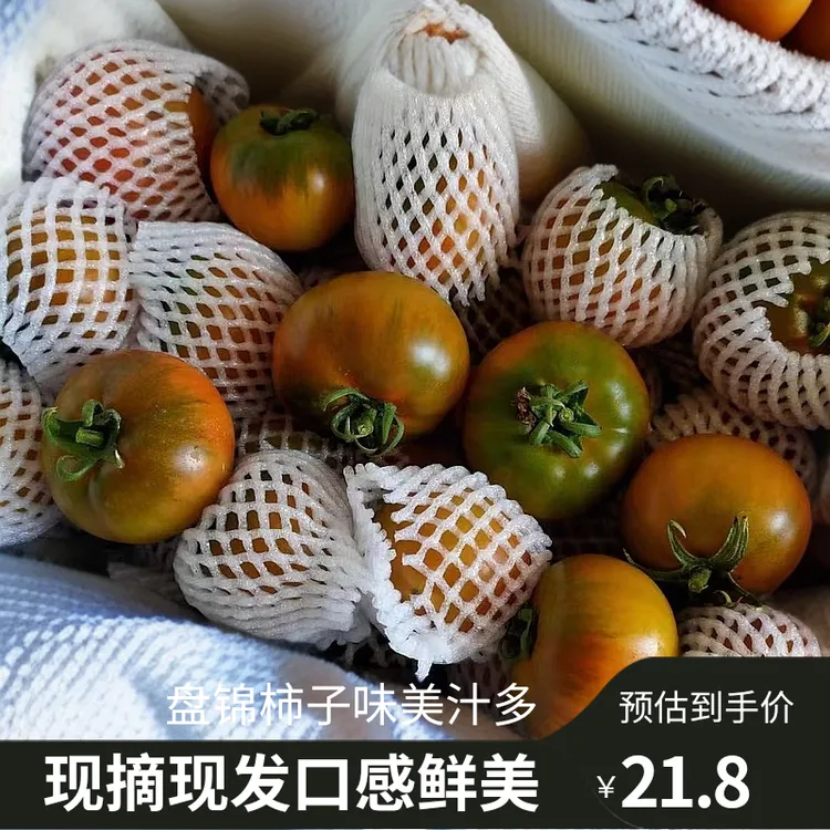 盘锦碱地柿子草莓柿子铁皮柿子老柿子番茄酸酸甜甜现摘现发