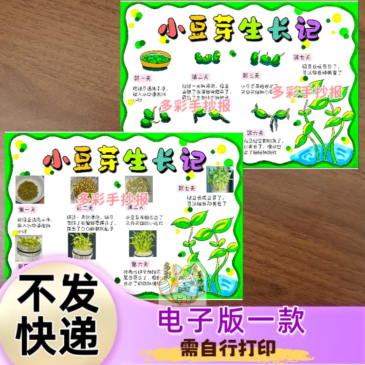 【1511】小豆芽生长记手抄报生长笔记电子稿