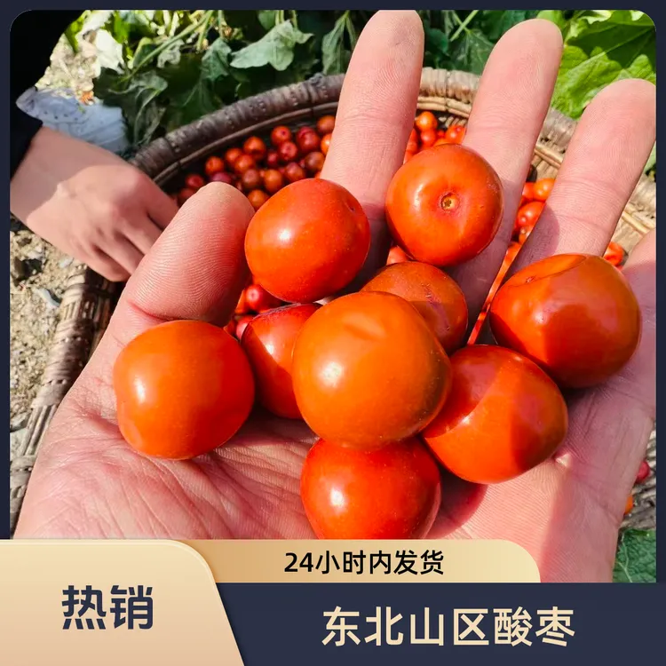 【大酸枣】东北山区大酸枣小酸枣山枣孕妈妈解馋小零食睡眠泡水泡氿