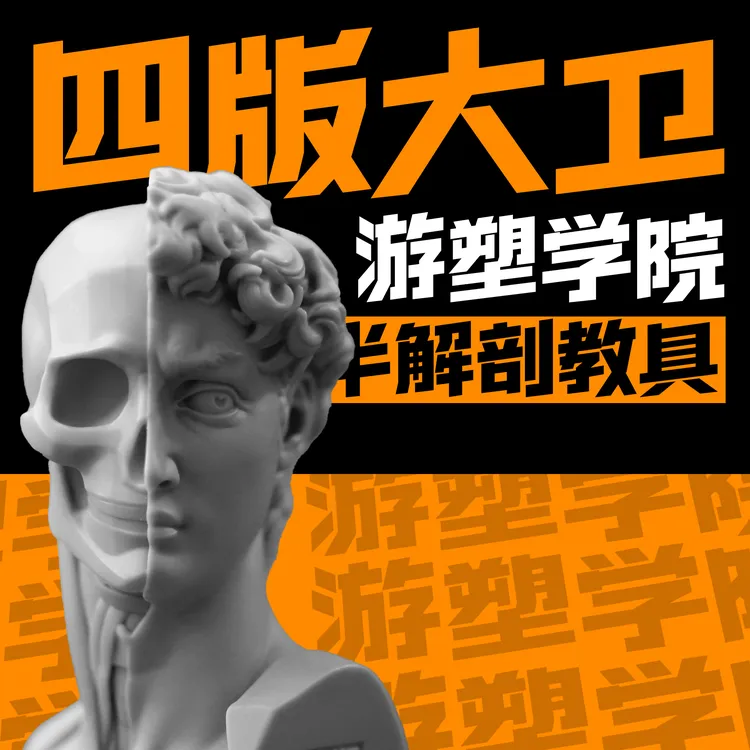 游塑学院肌肉骨骼解剖大卫人头艺术雕刻3d模型树脂美术室教具 