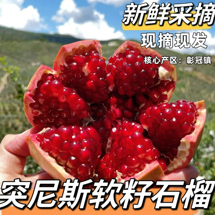 四川会理软籽石榴新鲜当季水果鲜甜多汁来自山区的精品石榴