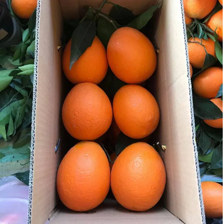 10斤装奉节脐橙自家果园现摘现发新鲜脐橙当季水果绿色健康