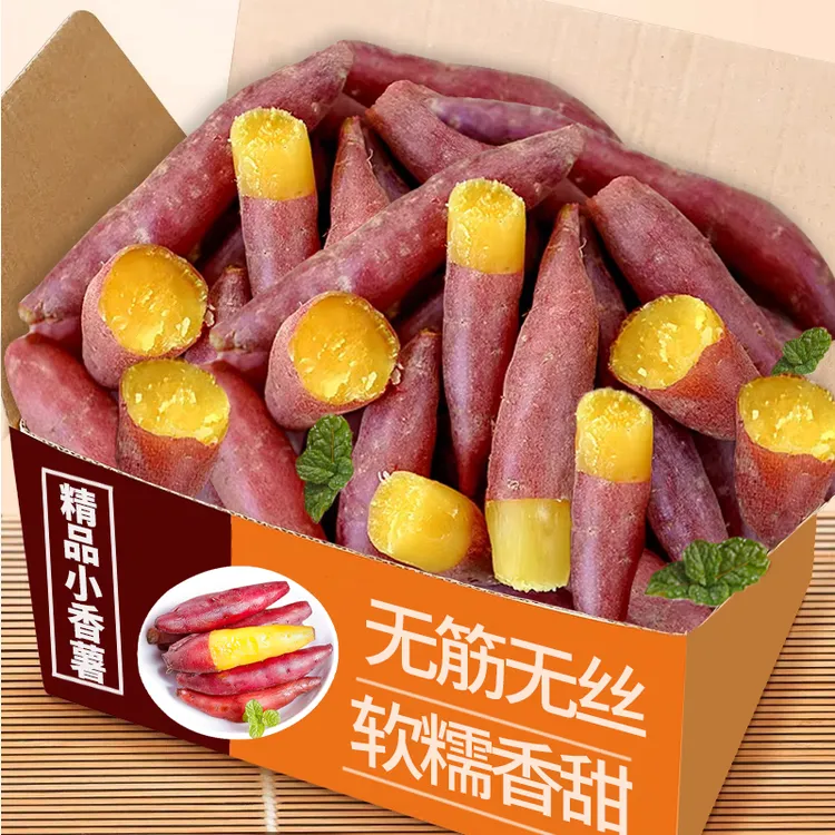 天目山小香薯 新鲜沙地红薯粗粮辅食 农产品地瓜5斤 当季新鲜蔬菜商品图