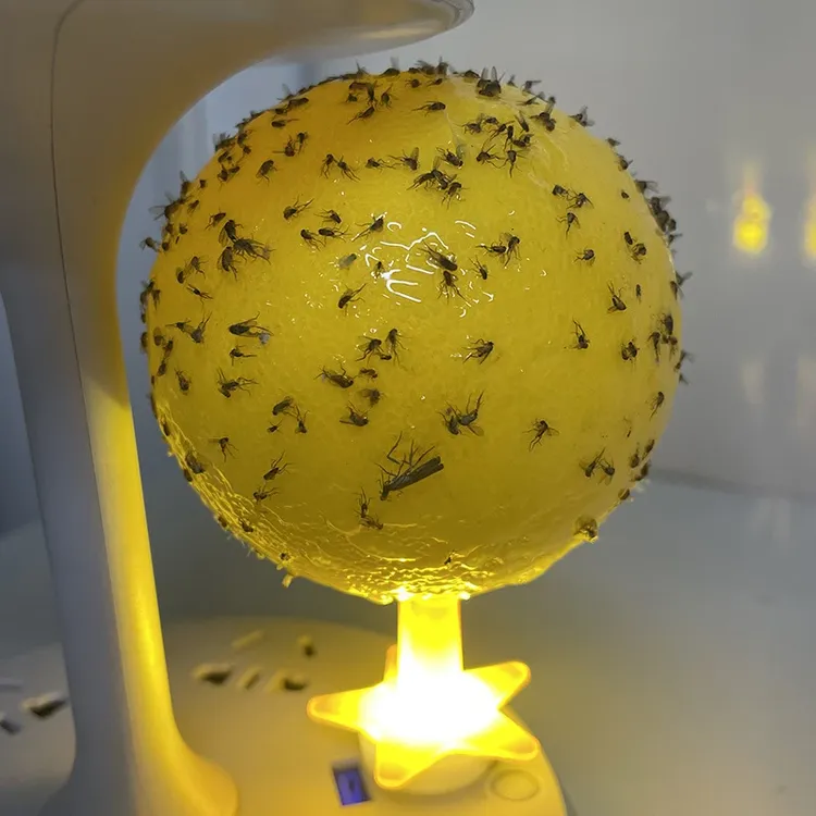 夏季常备室内粘蚊诱虫球诱蝇球粘虫球陷阱诱粘蚊子苍蝇果蝇小飞虫