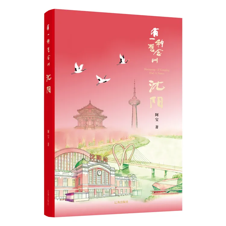 有一种想念叫沈阳 紫气东来 金话筒得主阿宝著 辽海出版社
