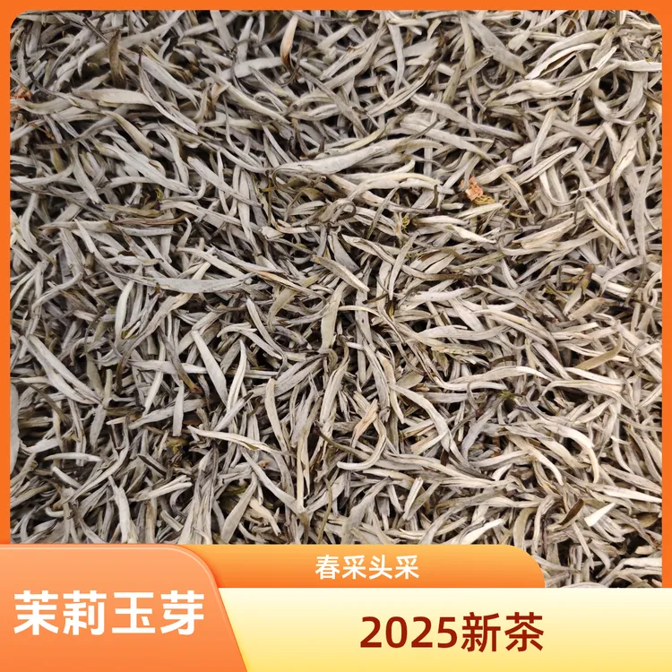 2025新茶茉莉花茶玉芽全芽头春头采冰糖甜香