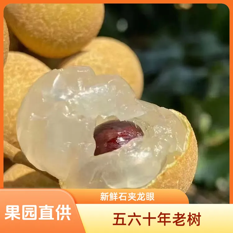 [广东省内]正宗石硖龙眼新鲜大果五六十年老树脆甜现摘现发