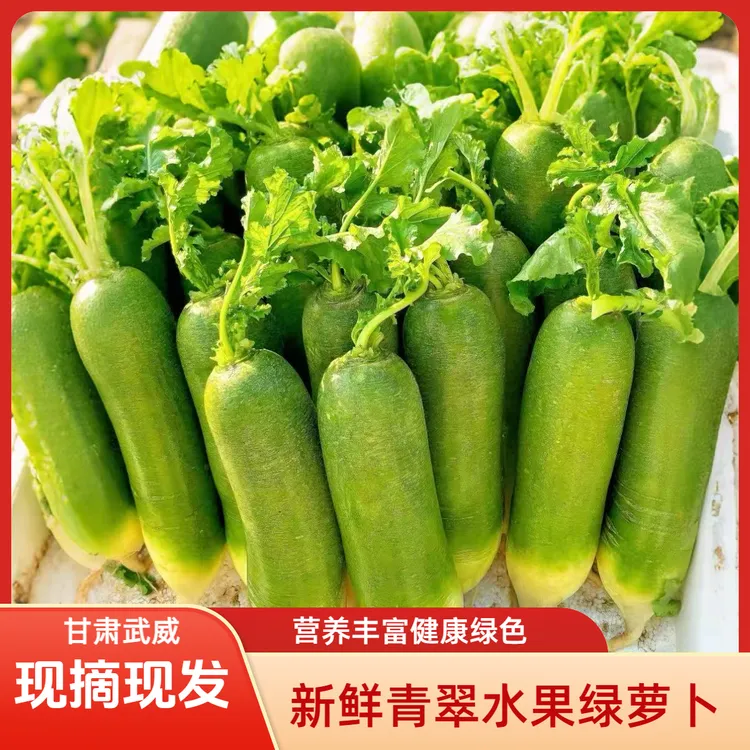 【2.3万回头客】正宗甘肃高海拔种植现摘现挖甜脆新鲜生吃水果萝卜