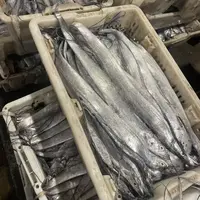 台州温岭东海小头小眼带鱼冰鲜发货顺丰冷链