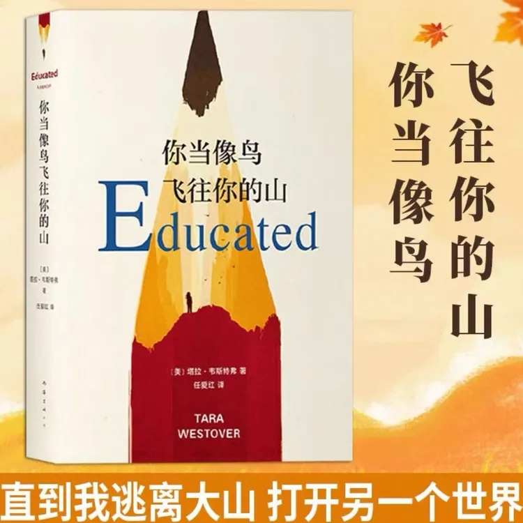 你当像鸟飞往你的山女性成长励志文学登顶纽约时报畅销榜好书