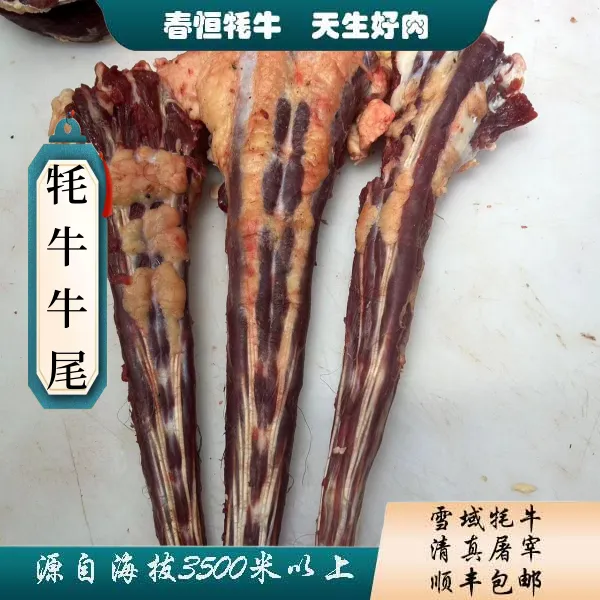 【春恒牦牛牛尾】4斤  肥  有牦牛毛  炖煮 甘肃顺丰