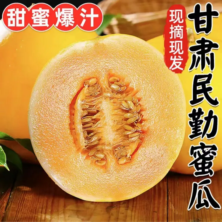 甘肃民勤产地直发黄河蜜瓜甜瓜新鲜当季水果哈密瓜 带箱9-10斤
