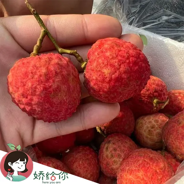 【顺丰包邮】季节限量高糖先进奉荔枝嫩甜小核多汁2斤装