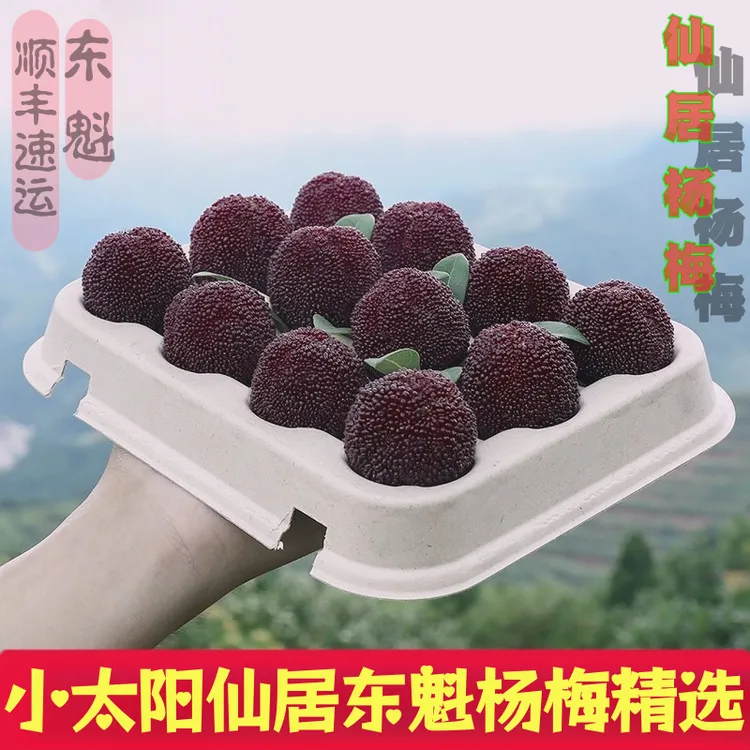 28-33g 36颗粒贡品级】正宗浙江仙居东魁杨梅水果顺丰包邮空运冷链
