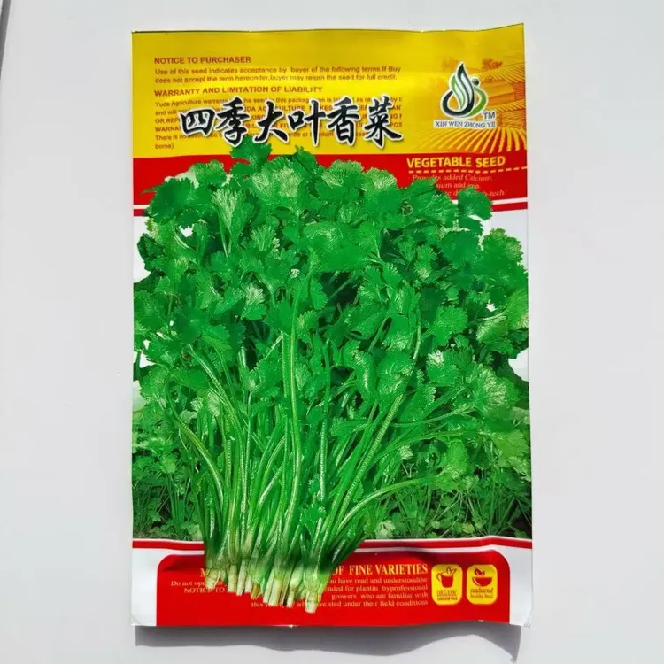 香菜芫荽四季大叶香菜种子蔬菜种子适应性广栽培容易