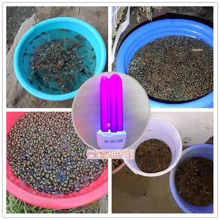 鱼塘专用吸虫灯紫光灯户外节能诱虫捕捉引虫知了苍虫蝲蝲蛄瞎闯子