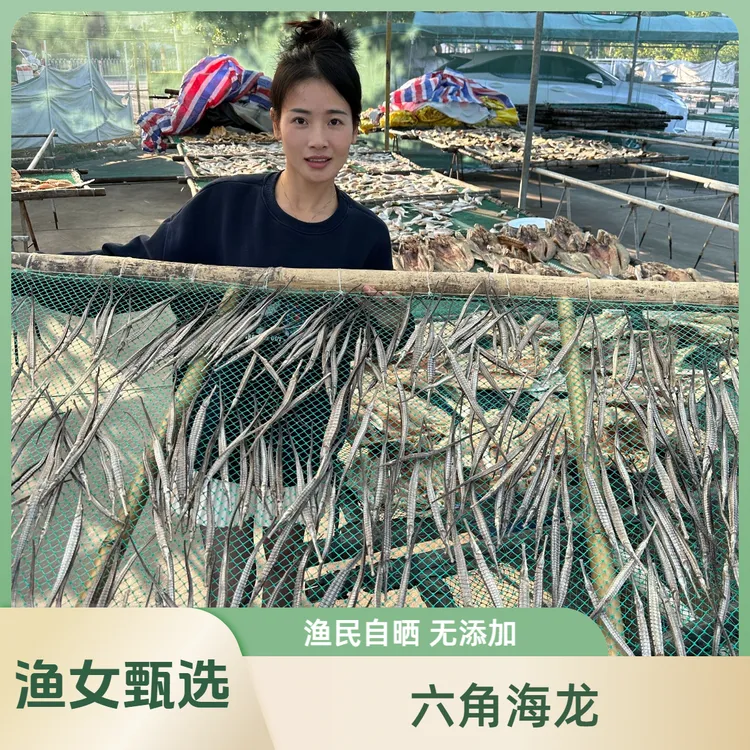 湛江 六角海龙干