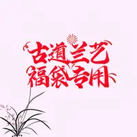 【福袋链接】古道兰艺高山国兰 易养活无温室阳台养兰