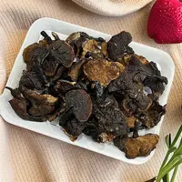 【白肉灵芝】白肉灵芝