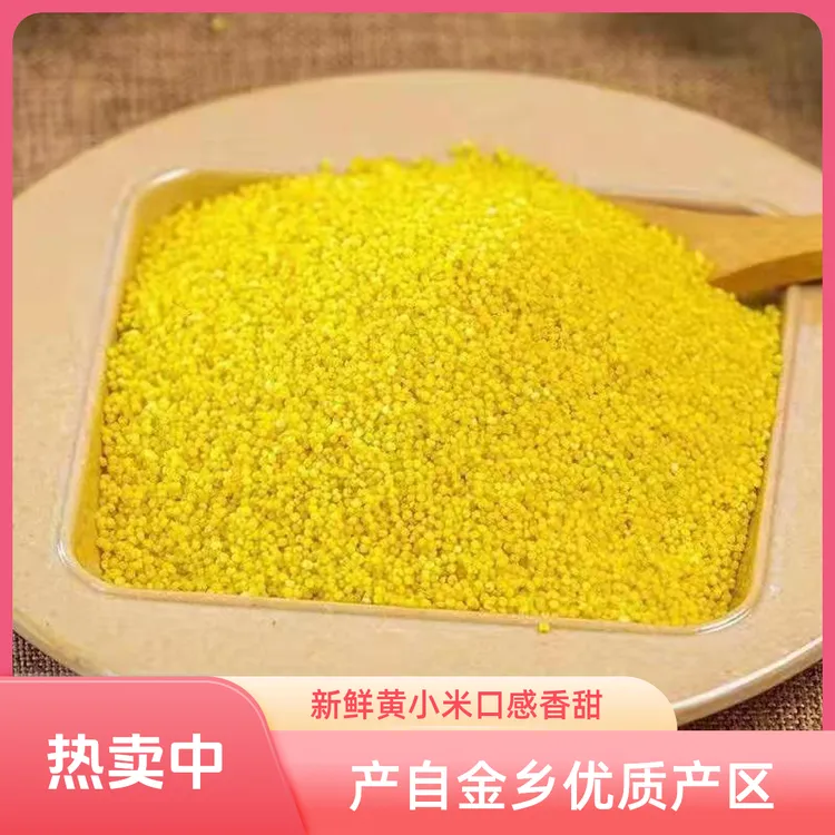 《小丁家小米》金乡金谷小米 黄小米新小米 净重5斤包邮 非真空包装