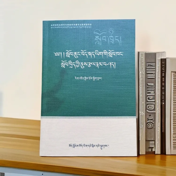 小学藏语文教学技能研究