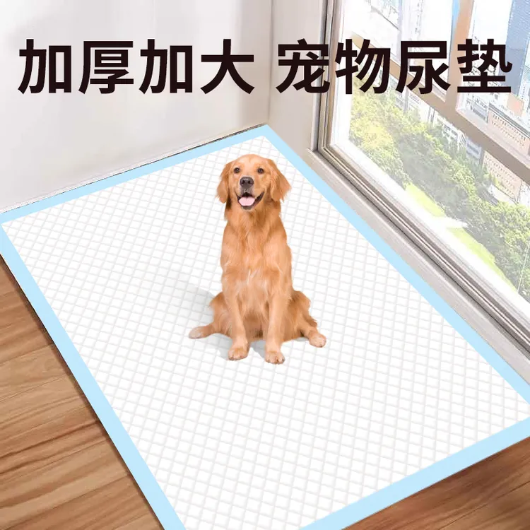 狗狗尿垫加厚除臭吸水尿垫狗用必备训导尿垫瞬吸狗狗宠物垫隔尿垫