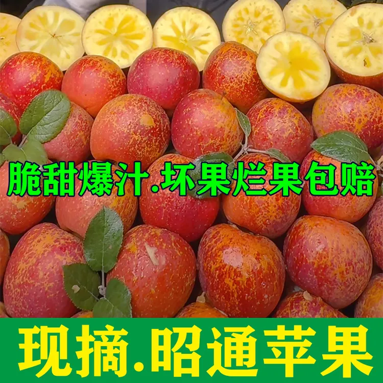 昭通苹果云南冰糖心丑苹果新鲜现摘脆甜多汁当季水果